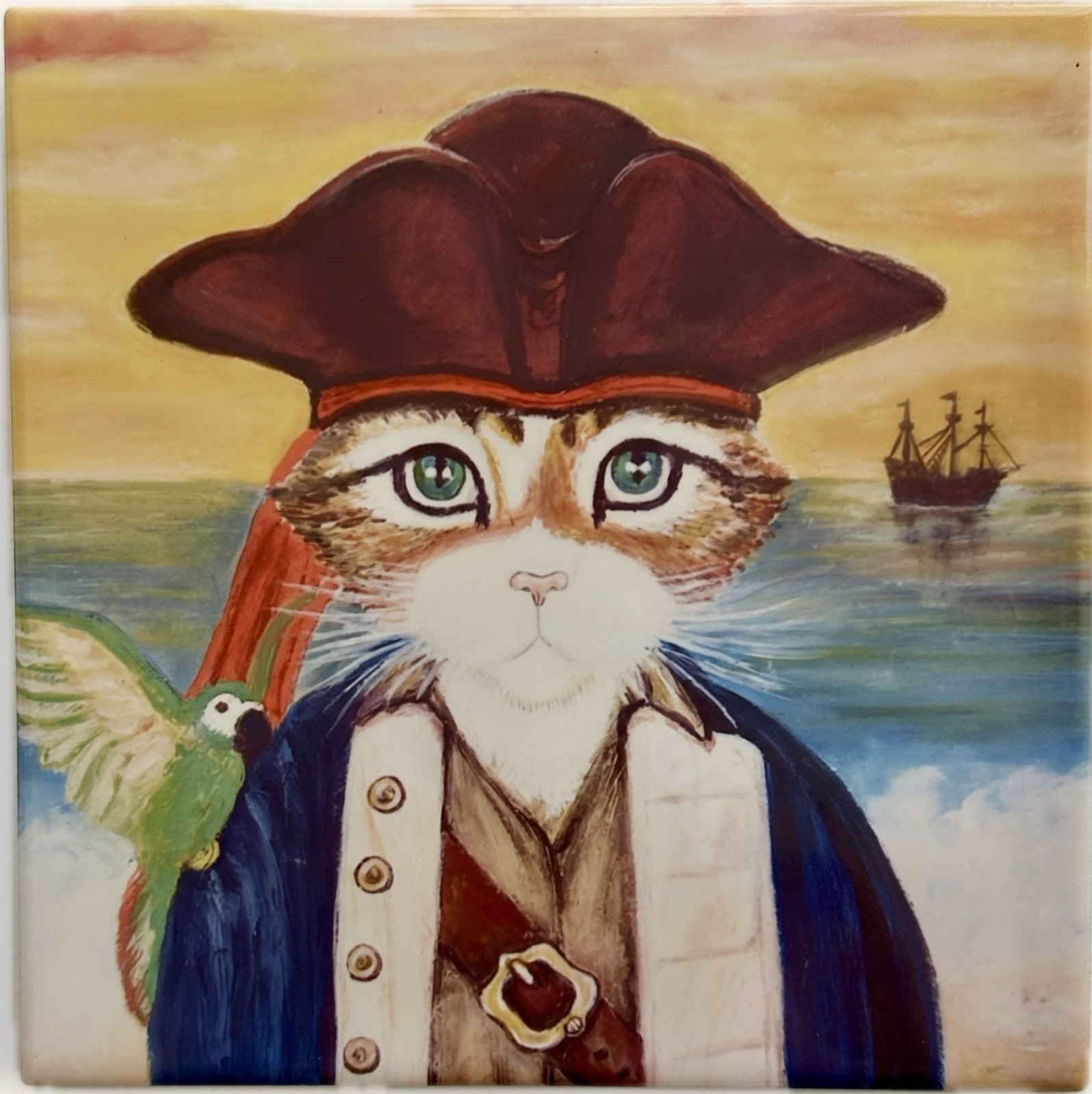 Pirate cat artwork displayed at the clinic