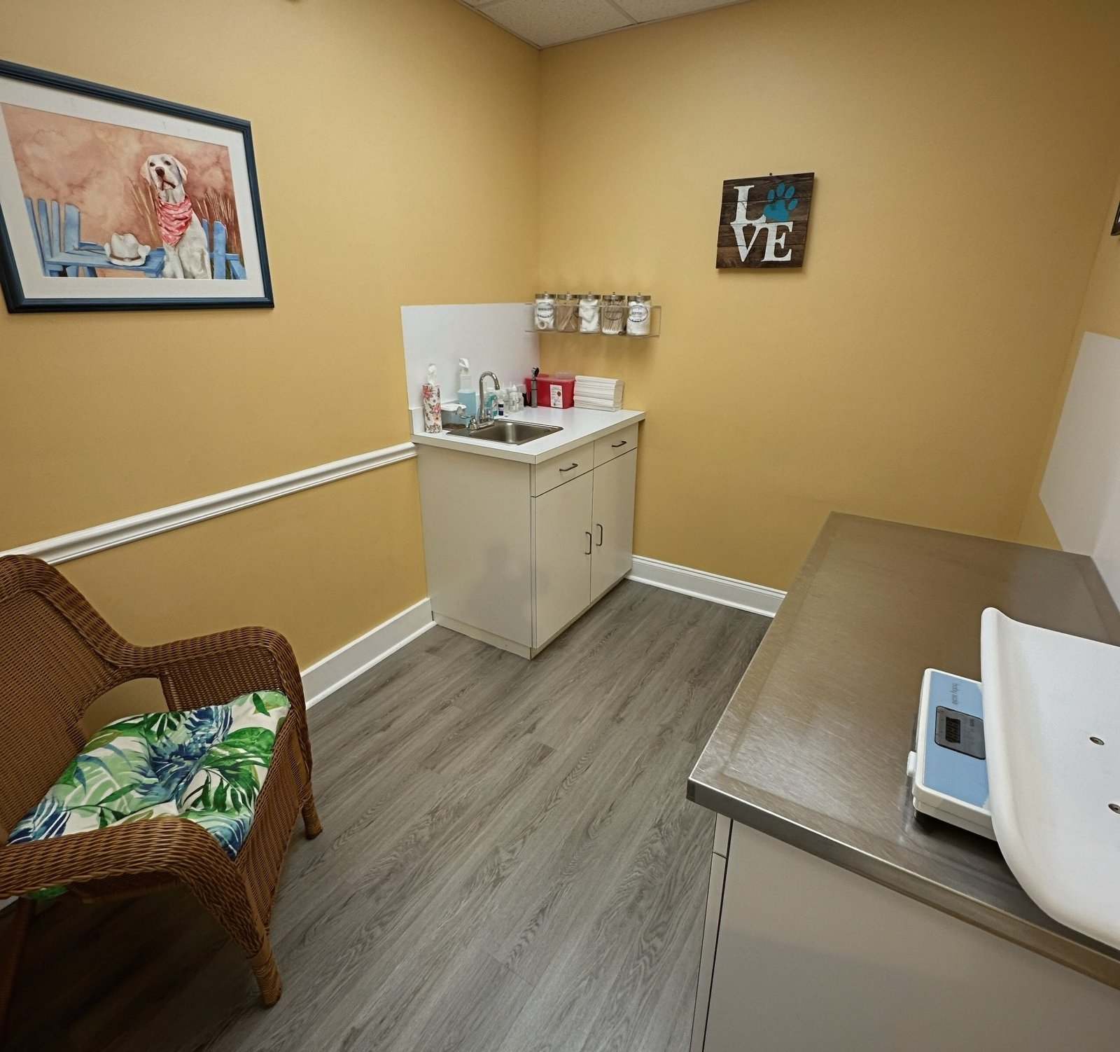 Veterinary examination room at Lower Keys Animal Clinic