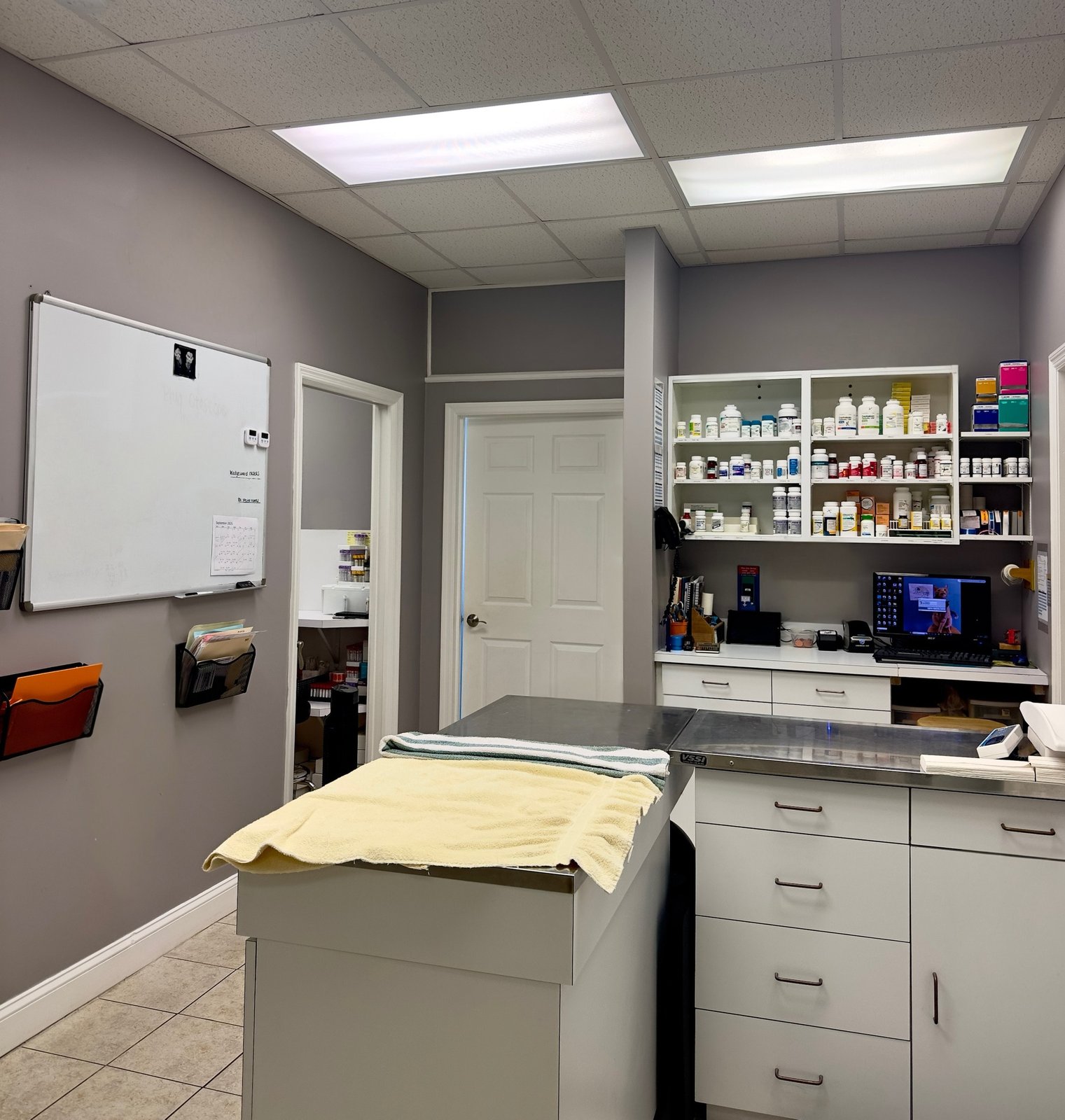 Veterinary treatment room at Lower Keys Animal Clinic