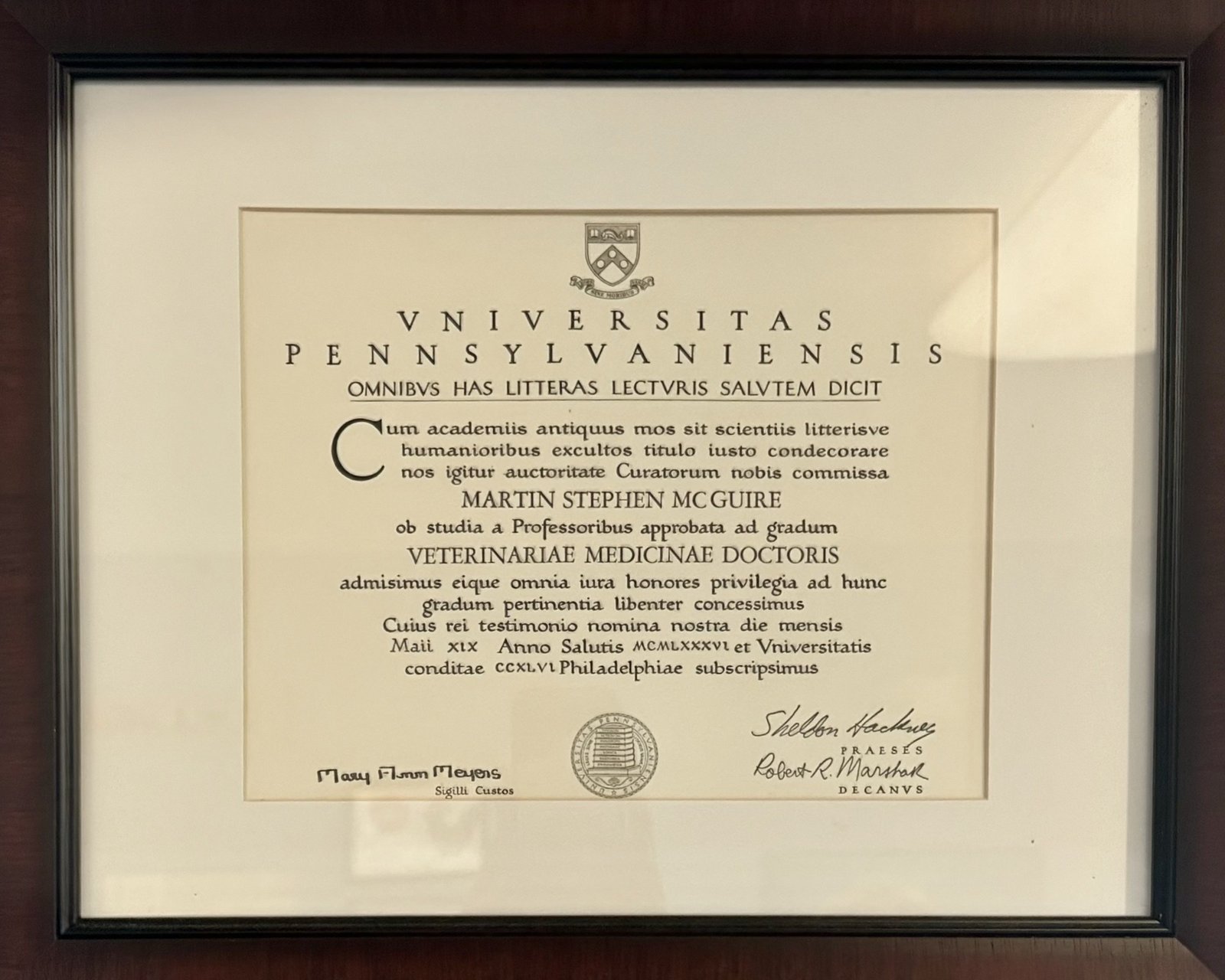 Veterinary diploma displayed at Lower Keys Animal Clinic